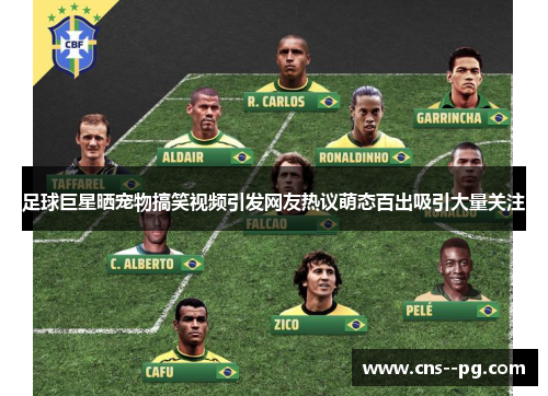 足球巨星晒宠物搞笑视频引发网友热议萌态百出吸引大量关注