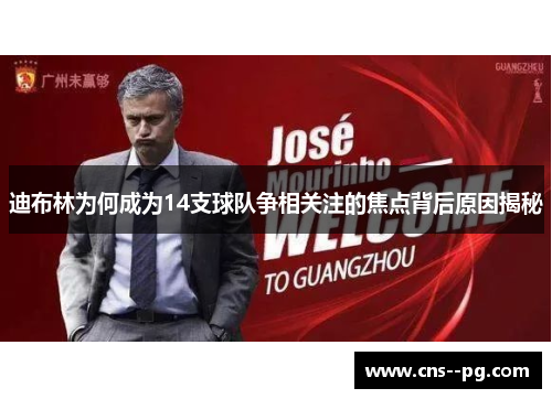 迪布林为何成为14支球队争相关注的焦点背后原因揭秘